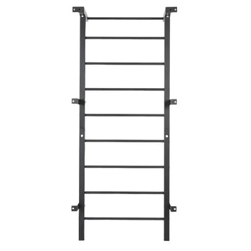2025 New Cheap Fitness Equipment Exercise Wall Bars Ladder Set for Home Gym